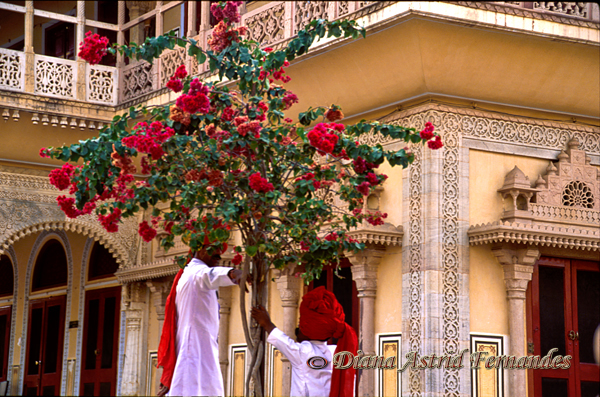 India-Amber-Fort-conversers-Rajasthan